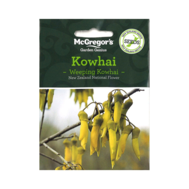 Kowhai – Weeping Kowhai (Native New Zealand Seeds)