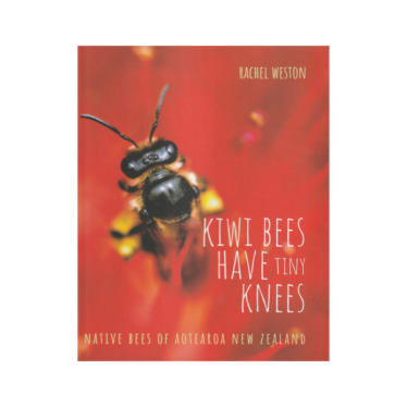 Kiwi bees have tiny knees